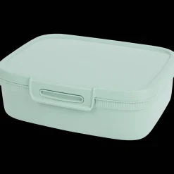 Curver lunchbox met divider