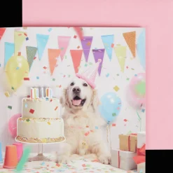 Action DécoTime wenskaart met opnamefunctie