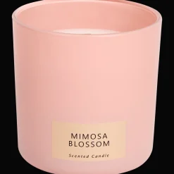 Action Geurkaars in glas