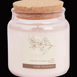 Action Geurkaars in glas