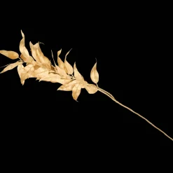 Action Gouden kunsttak