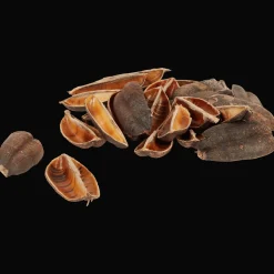 Action Home Accents decoratiemateriaal