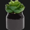 Action Home Accents kunstvetplantje in pot
