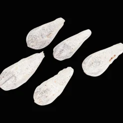 Action Home Accents natural droogmix