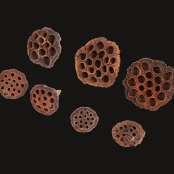 Action Home Accents natural droogmix