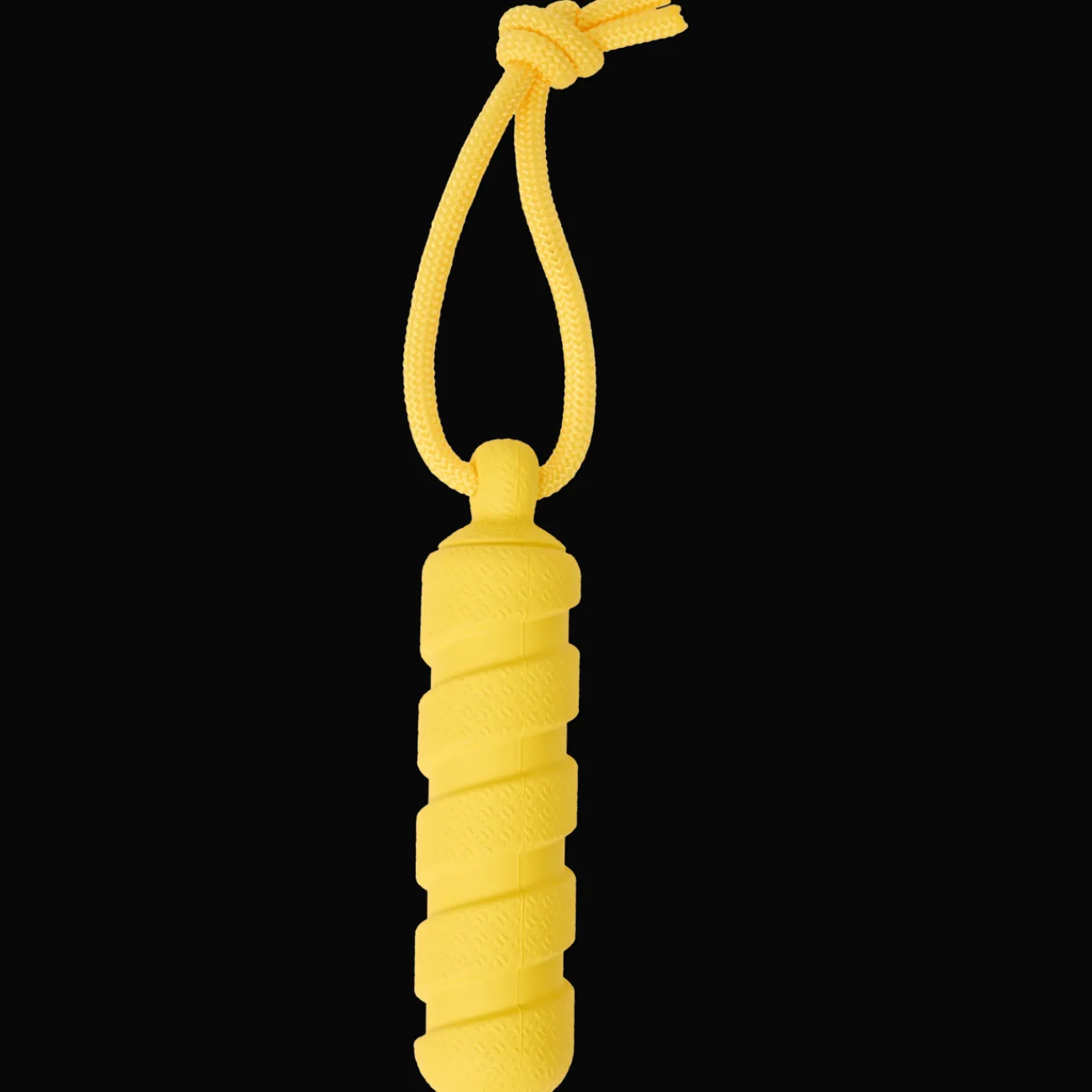 Action Hondenspeelgoed