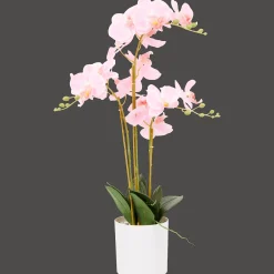 Action Kunst orchidee in pot