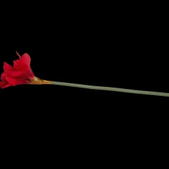 Action Kunstamaryllis op steel