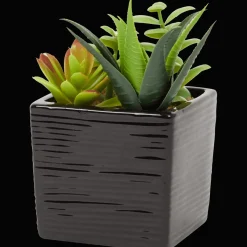 Action Kunst-vetplant in pot