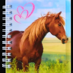 Action Mini-notitieboekje