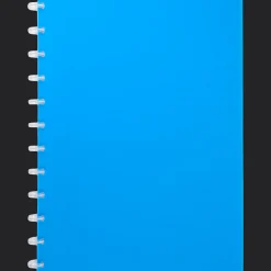 Action Ringschrift A4