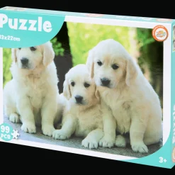 Action Toy Universe puzzel
