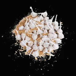 Action Vuurwerk knalerwten