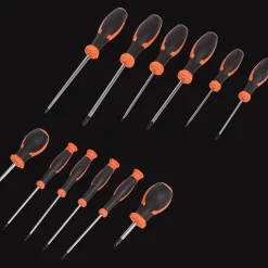 Werckmann schroevendraaierset